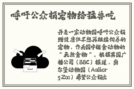 妃鱼黄播在哪怎么看